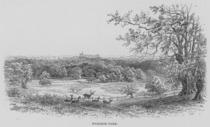 Parco di Windsor
