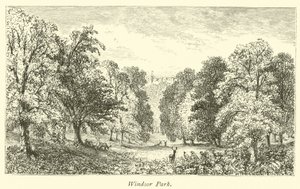 Parco di Windsor da English School