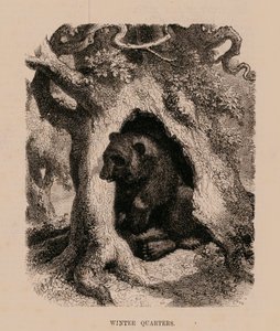 Quartieri d