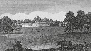 Abbazia di Woburn da English School
