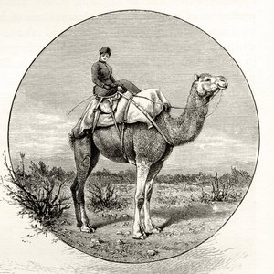 Donna su un cammello in Australia, c.1880, da 