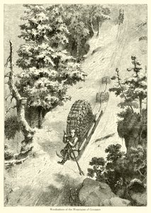 Taglialegna delle Montagne di Cevennes da English School