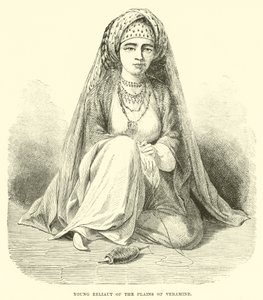 Giovane Eeliaut delle pianure di Veramine da English School