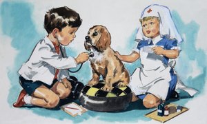 Giovani veterinari da English School