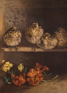 Pulcini e fiori