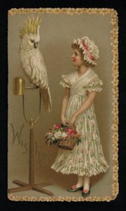Giovane donna con un cacatua bianco, cartolina di auguri da English School