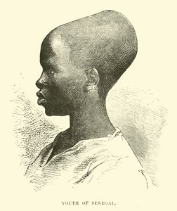 Giovane del Senegal da English School