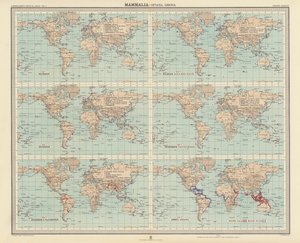 Zoogeografia: Mammiferi, Cetacei, Sirenii