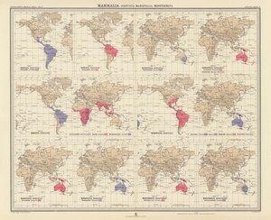 Zoogeografia: Mammiferi, Edentati, Marsupiali, Monotremi da English School