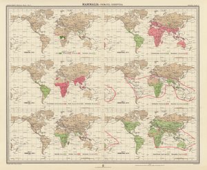 Zoogeografia: Mammiferi, Primati, Chirotteri da English School