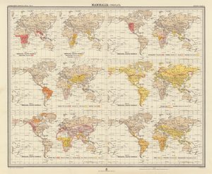 Zoogeografia: Mammalia, Ungulata da English School