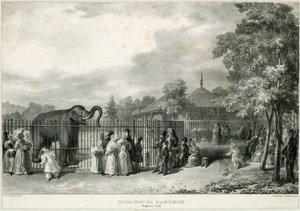 Giardini Zoologici, Regents Park da English School