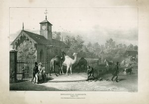 Giardini Zoologici, Regents Park da English School