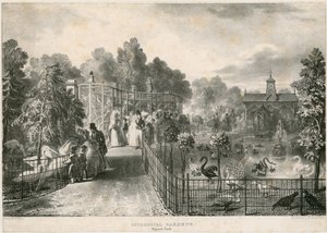 Giardini Zoologici, Regents Park da English School