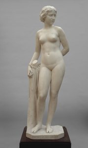 La prigioniera bianca da Erastus Dow Palmer