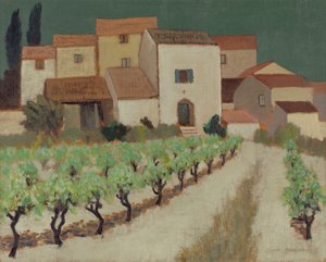 Vigneto, Provenza