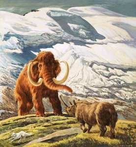Il mammut incontra il rinoceronte (gouache su carta)