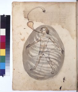 Pagina intera: palombaro, 1430 circa (disegno a penna colorata)
