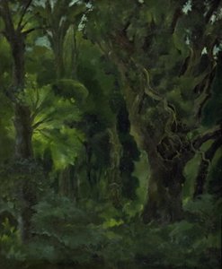Paesaggio boscoso. "La foresta nordica" da Erik Stæhr Nielsen