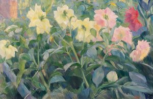 Dalia
