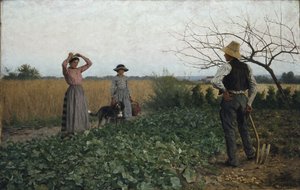 Nel campo di patate