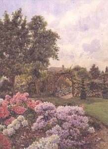 Rhododendron da Ernest Arthur Rowe