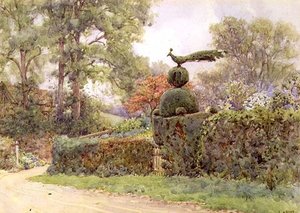La vecchia siepe di tasso, Speldhurst, Kent