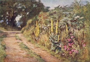 Il Cuore della Siepe da Ernest Benger or Berenger