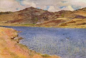 Loch Howie o Wee