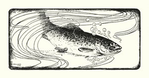 Salmone all