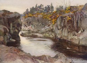 La gola sotto il Linn da Ernest Edward Briggs