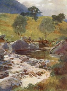 Le sorgenti del Dochart da Ernest Edward Briggs