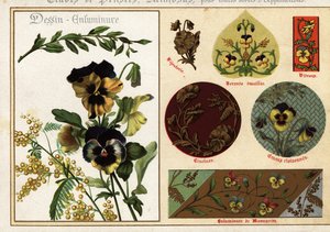 Immagini di viole del pensiero e mimosa da manoscritti e la loro applicazione da Ernest Guillot