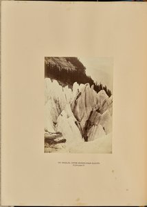 Api di ghiaccio - Sotto il ghiacciaio di Grindelwald da Ernest H. Edwards