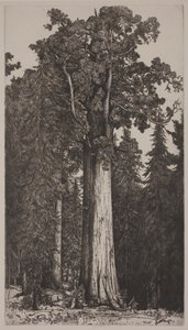 Generale Sherman da Ernest Haskell