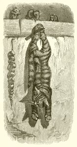 Il gatto e i topi