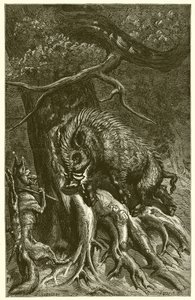 La volpe e il cinghiale