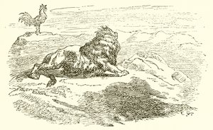 Il leone e l