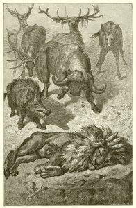 Il Vecchio Leone da Ernest Henry Griset
