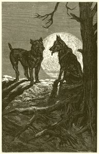 Il lupo e il mastino