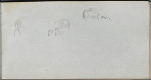 Taccuino, pagina 20: Studio di animali