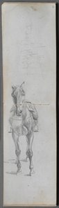 Taccuino, pagina 56 e 57: Studio di un cavallo