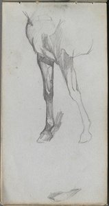 Taccuino, pagina 66: Studio di un cavallo da Jean Louis Ernest Meissonier