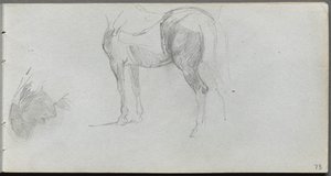 Taccuino, pagina 73: Studio di un cavallo, profilo da Ernest Meissonier