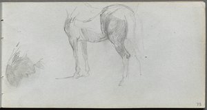 Taccuino, pagina 73: Studio di un cavallo, profilo