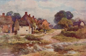"Beggarly Broom" da Ernest William Haslehust