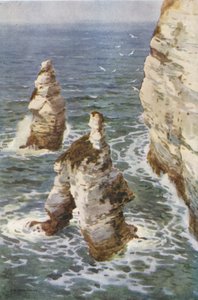 Flamborough: Rocce del Re e della Regina