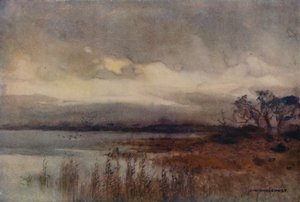 Hickling Broad da Ernest William Haslehust