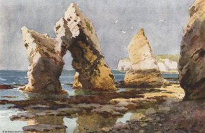 A Freshwater Bay