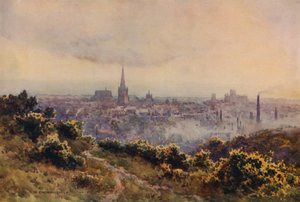 Norwich da Mousehold Heath (litografia a colori) da Ernest William Haslehust